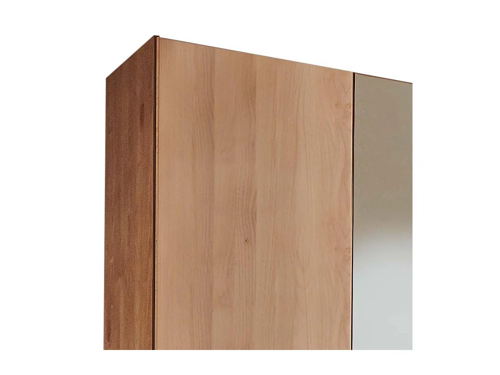 Kleiderschrank Spiegeltürenschrank in Erlefarben und modernem Design