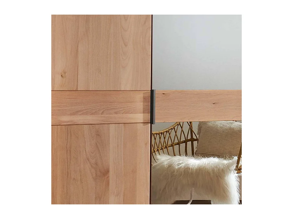 Kleiderschrank Spiegeltürenschrank in Erlefarben und modernem Design