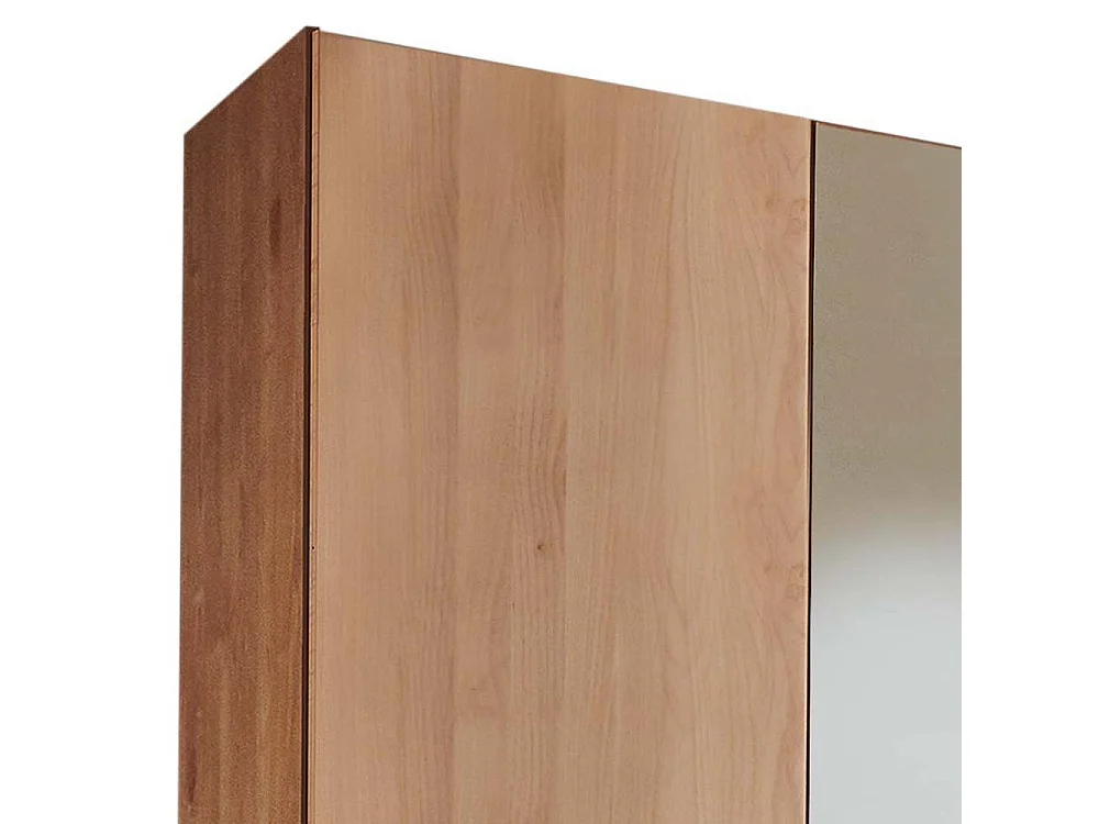Kleiderschrank Spiegeltürenschrank in Erlefarben und modernem Design