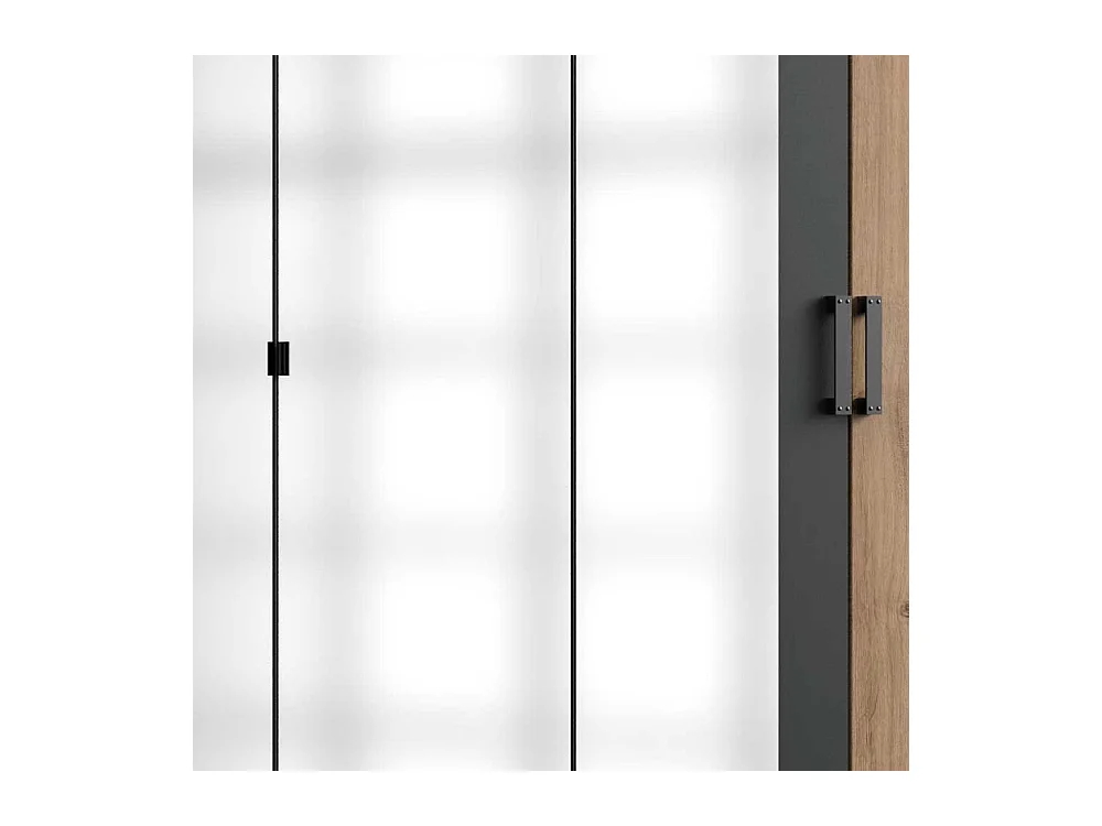 Kleiderschrank mit Spiegeln im Industry und Loft Stil 225 cm breit