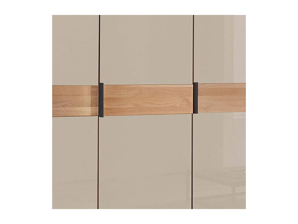 Drehtürenkleiderschrank Kleiderschrank in Champagner und Erlefarben