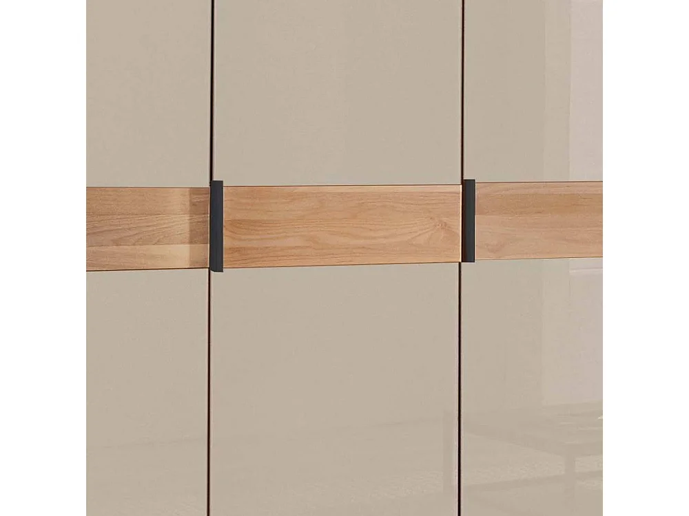 Drehtürenkleiderschrank Kleiderschrank in Champagner und Erlefarben