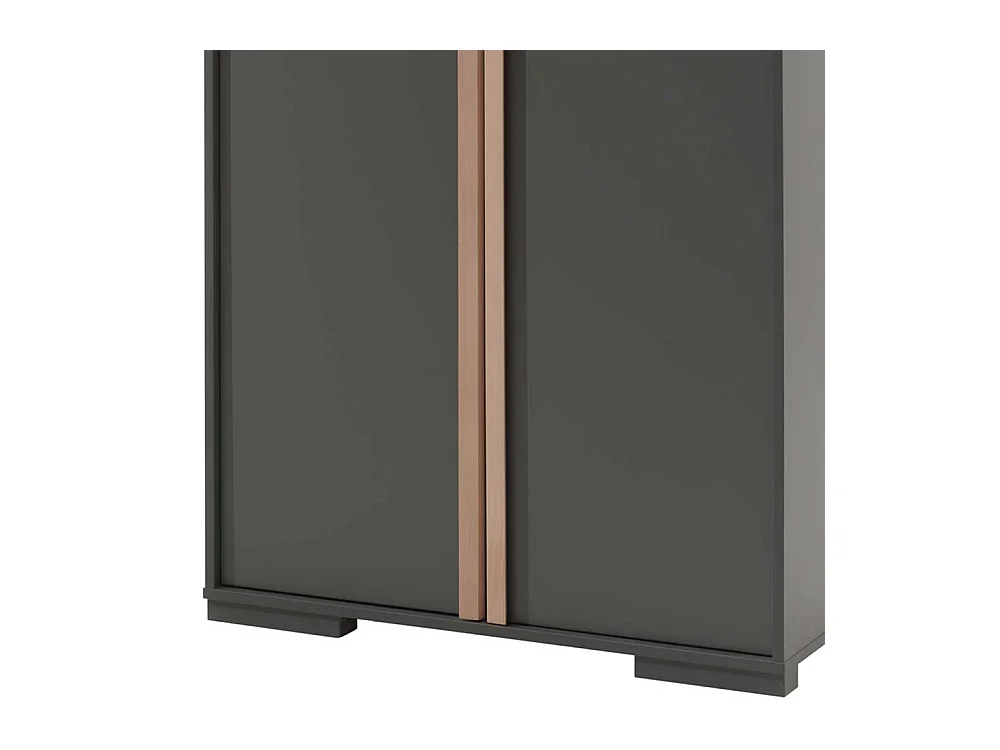 Drehtürenschrank in Anthrazit und Buche Optik 195 cm hoch