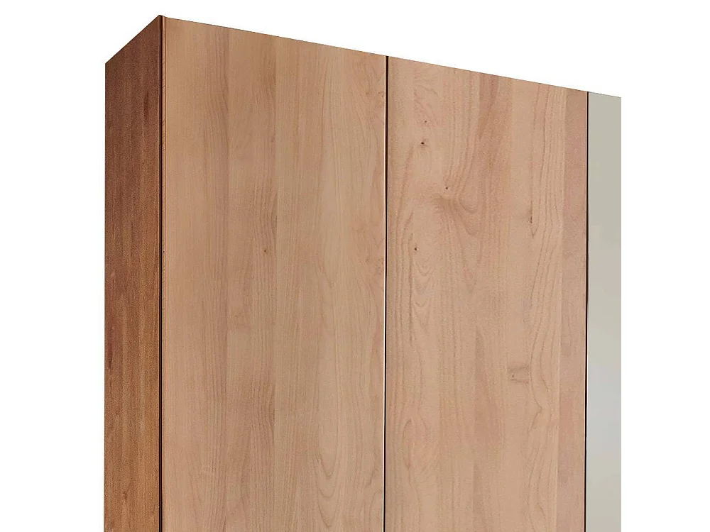 Spiegelkleiderschrank Schlafzimmerschrank teilmassiv mit Drehtüren