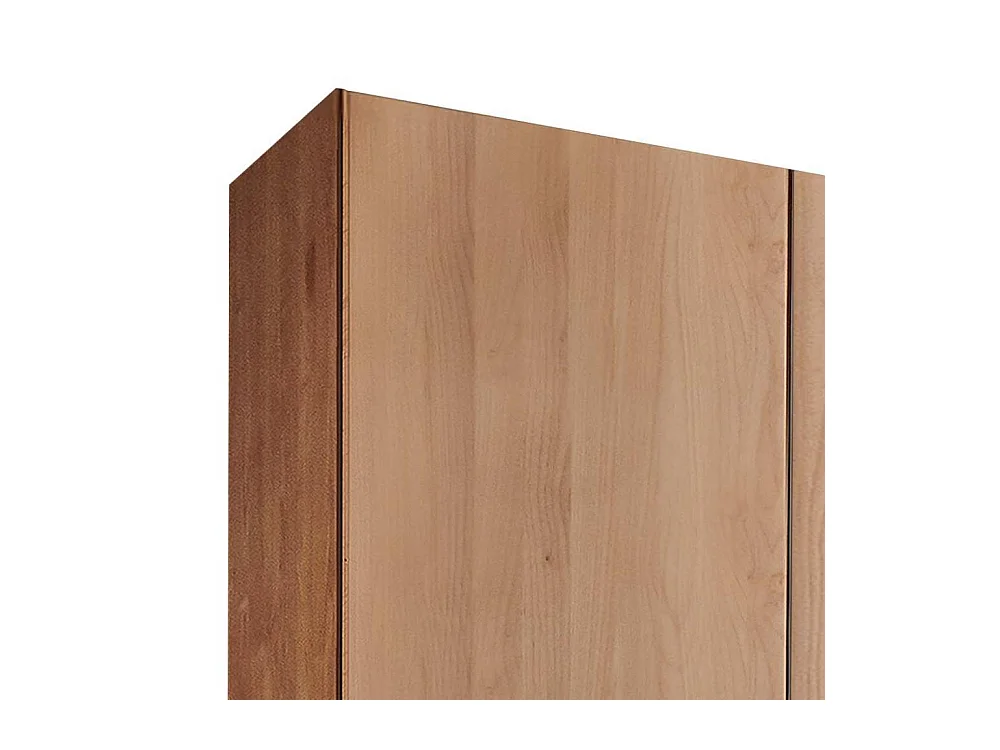 Kleiderschrank Drehtürschrank in modernem Design mit Metallgriffen