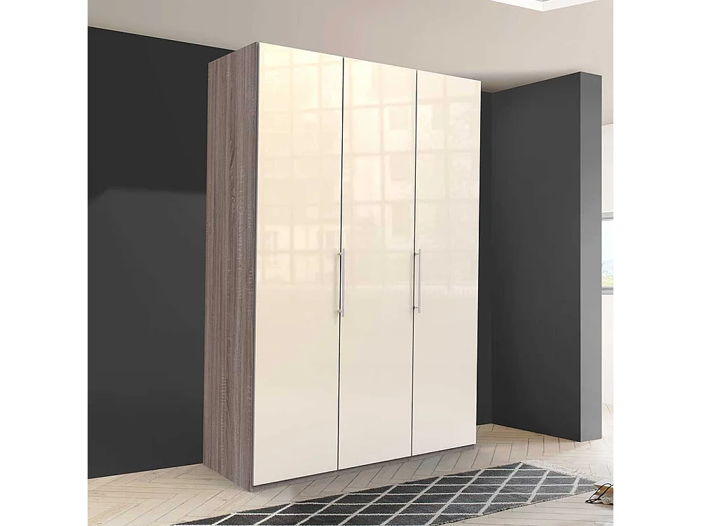 Moderner Kleiderschrank 2 türig glasbeschichtet