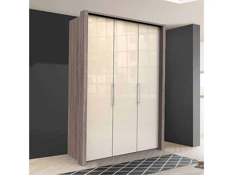 Moderner Kleiderschrank 2 türig glasbeschichtet