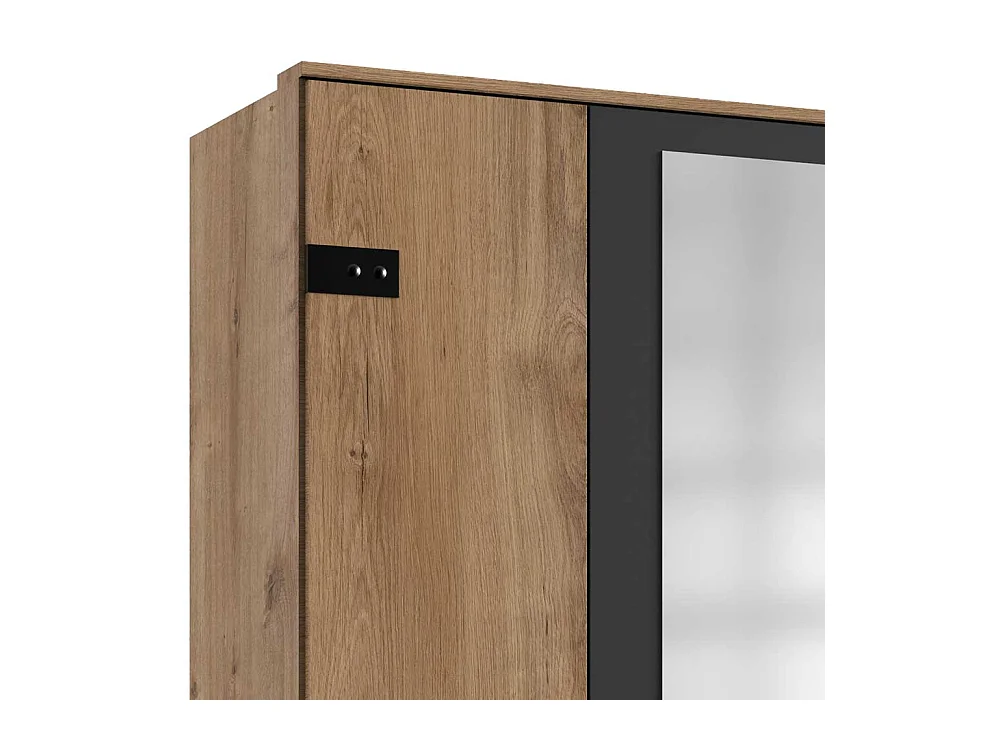 Kleiderschrank mit Spiegeln im Industry und Loft Stil 225 cm breit