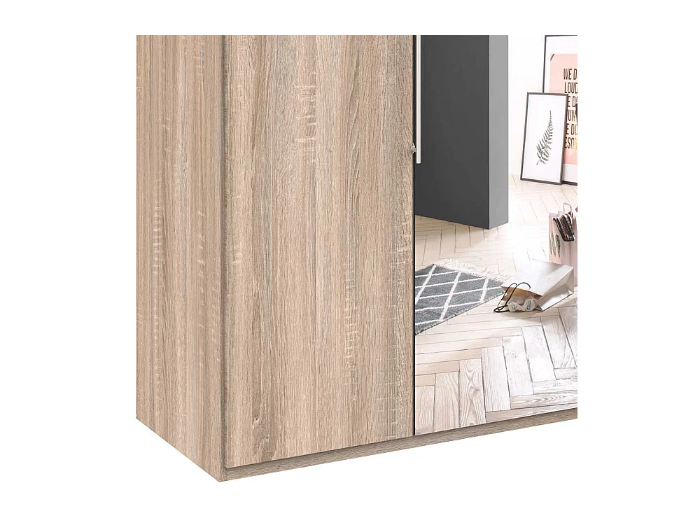 Panoramakleiderschrank 2 türig mit Spiegel Eiche Sägerau