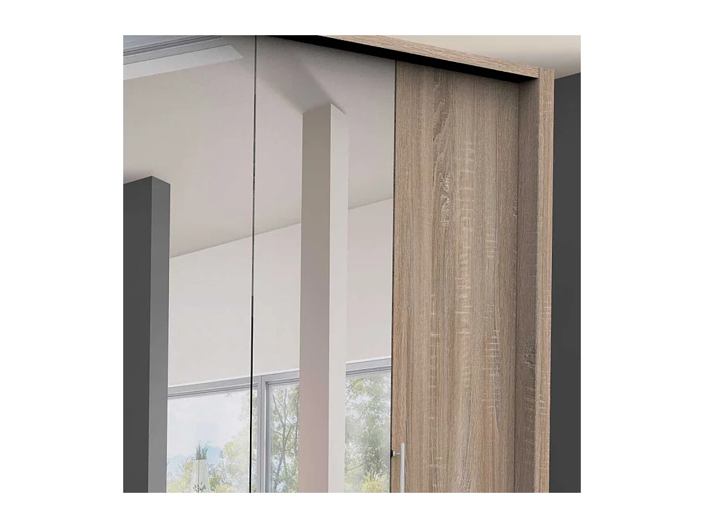 Panoramakleiderschrank 2 türig mit Spiegel Eiche Sägerau