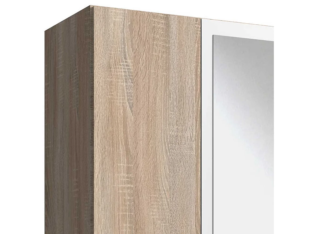 Zweifarbiger Schlafzimmerkleiderschrank mit Spiegeltüren zwei Schubladen