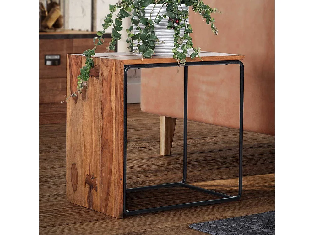 Beistelltisch Couchtisch in Sheeshamfarben und Schwarz