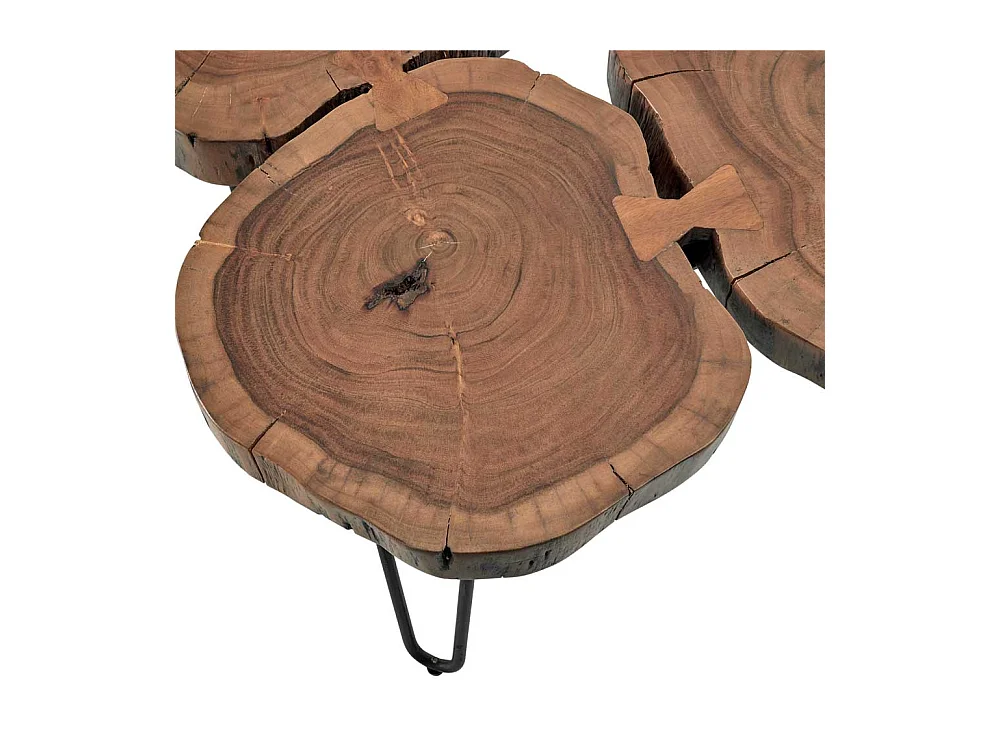 Baumscheiben Couchtisch aus Akazie Massivholz Industry und Loft Stil