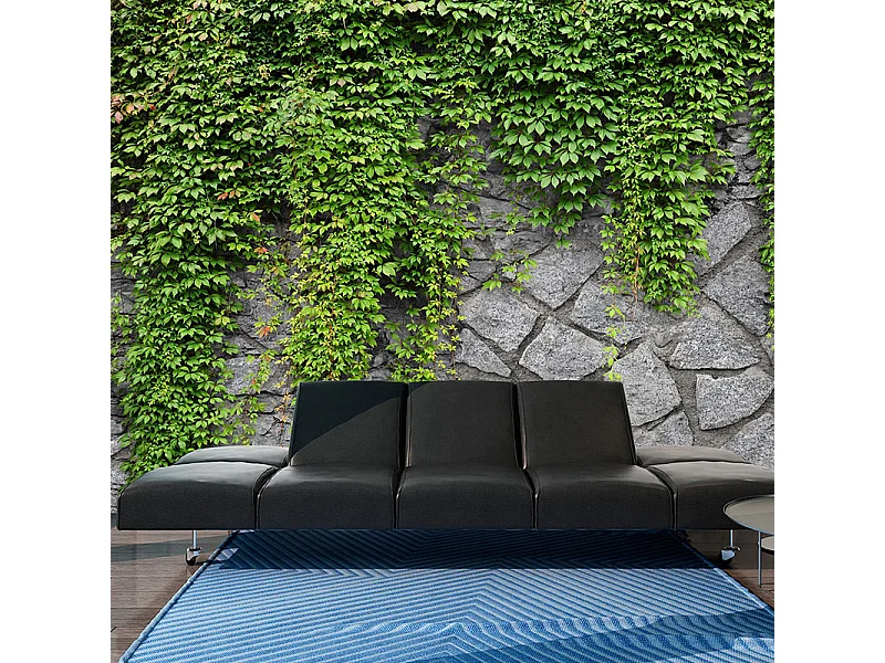 Fotomurale - Muro verde - 100x70