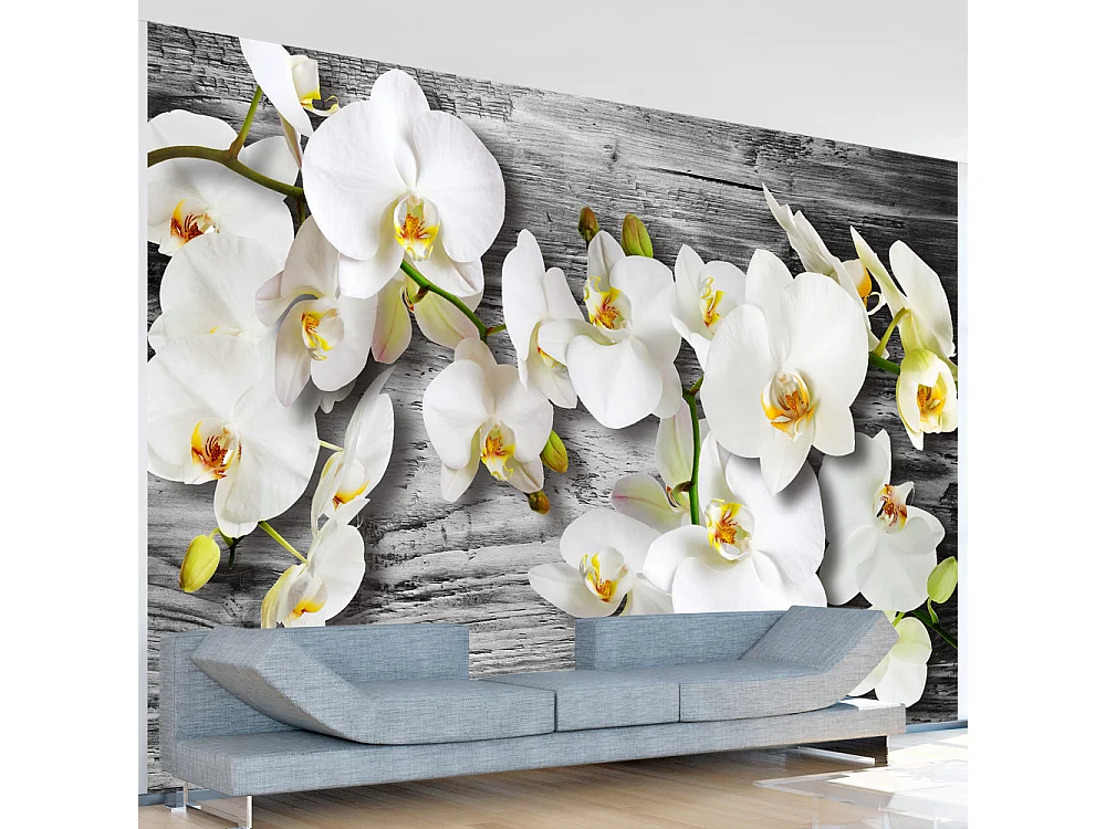 Fotomurale - Orchidee insensibili III - 100x70