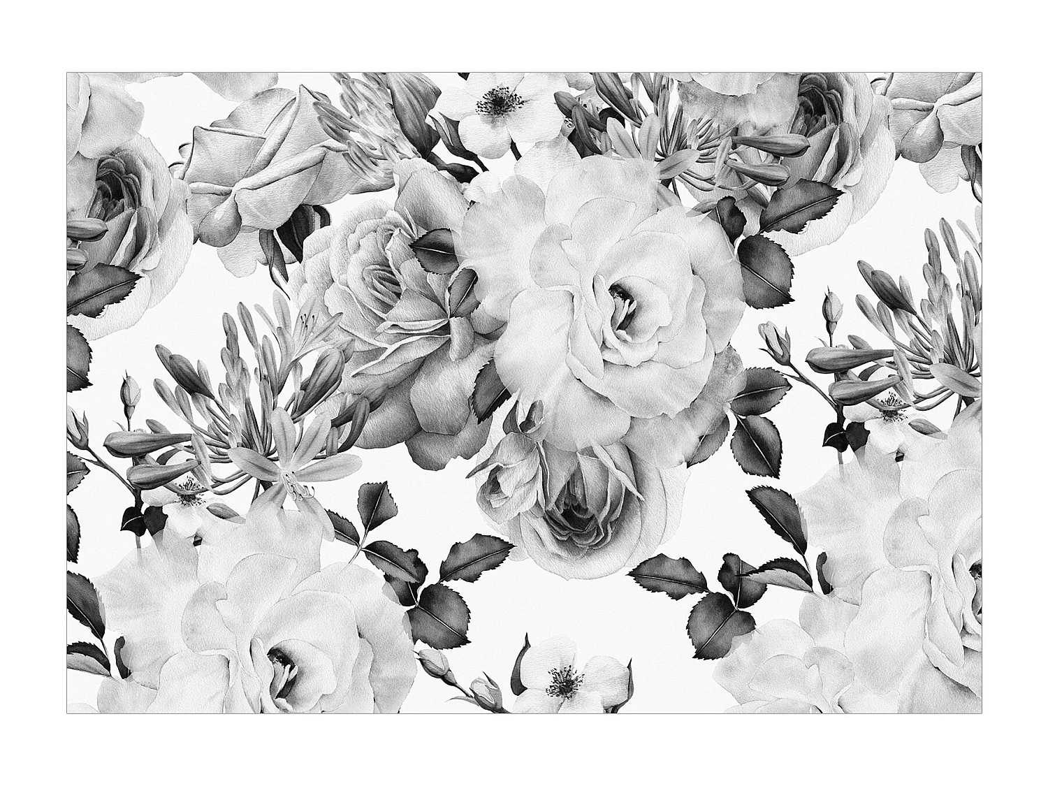 Fotomurale adesivo - Sentimental Garden (Black and White) - 245x175