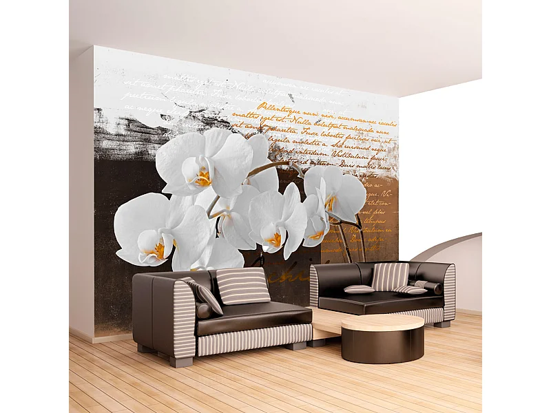 Fotomurale - Pensieri sentimentali - 350x245