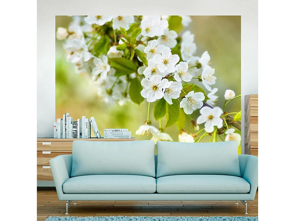Fotomurale - Delicati fiori di ciliegio - 400x309