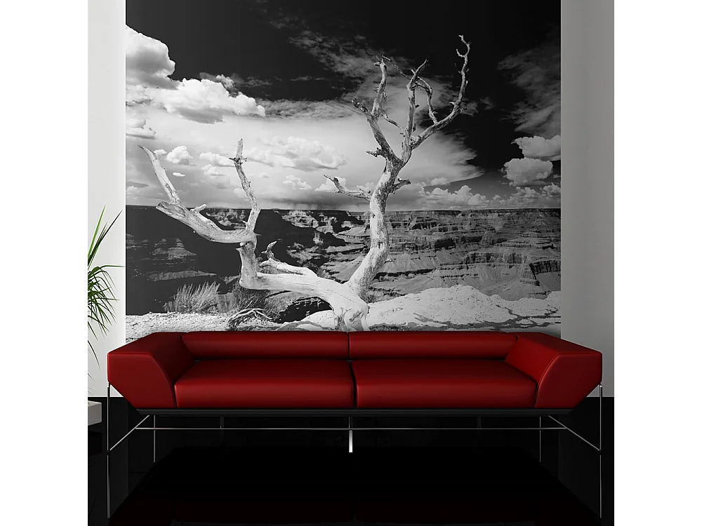 Fotomurale - Albero sullo sfondo del Grand Canyon, Arizona - 200x154