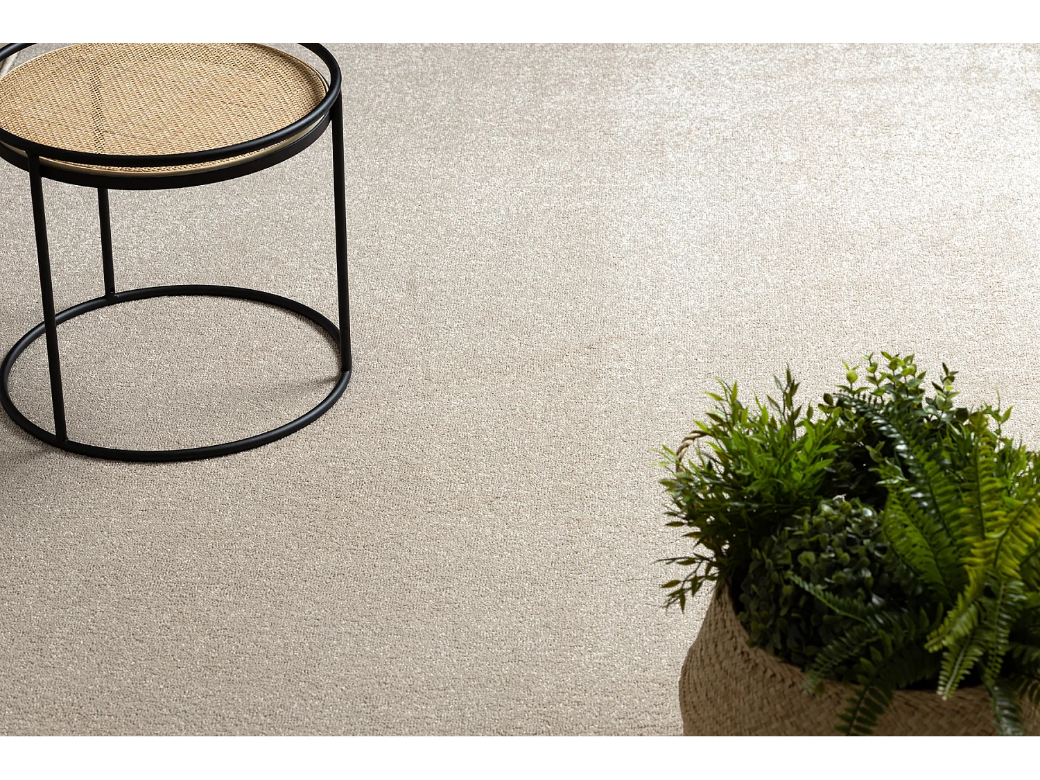 TAPIS - MOQUETTE CASHMERE beige 312 plaine 150x200 cm