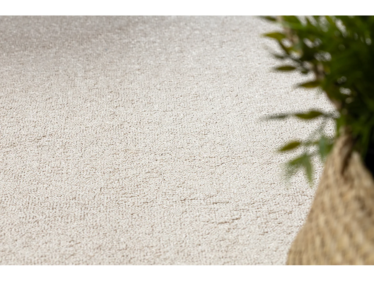 TAPIS - MOQUETTE CASHMERE beige 312 plaine 150x200 cm