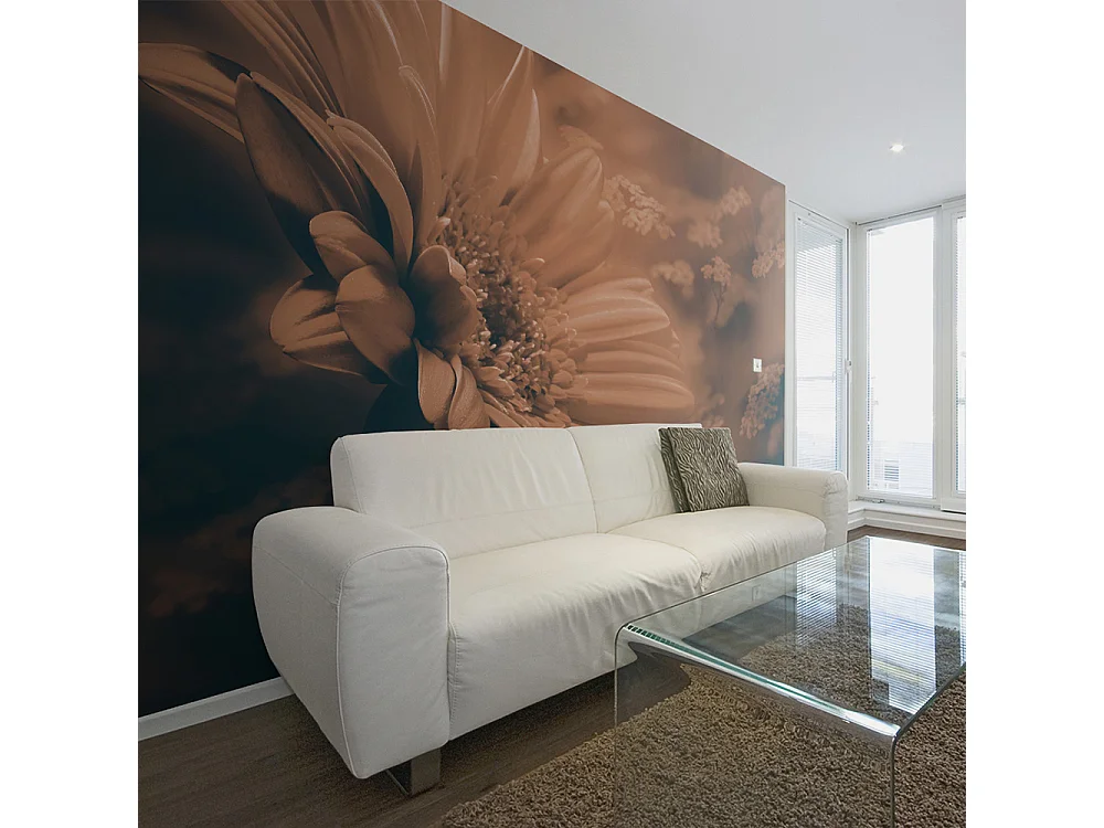 Fotomurale - Gerbera in marrone - 350x270