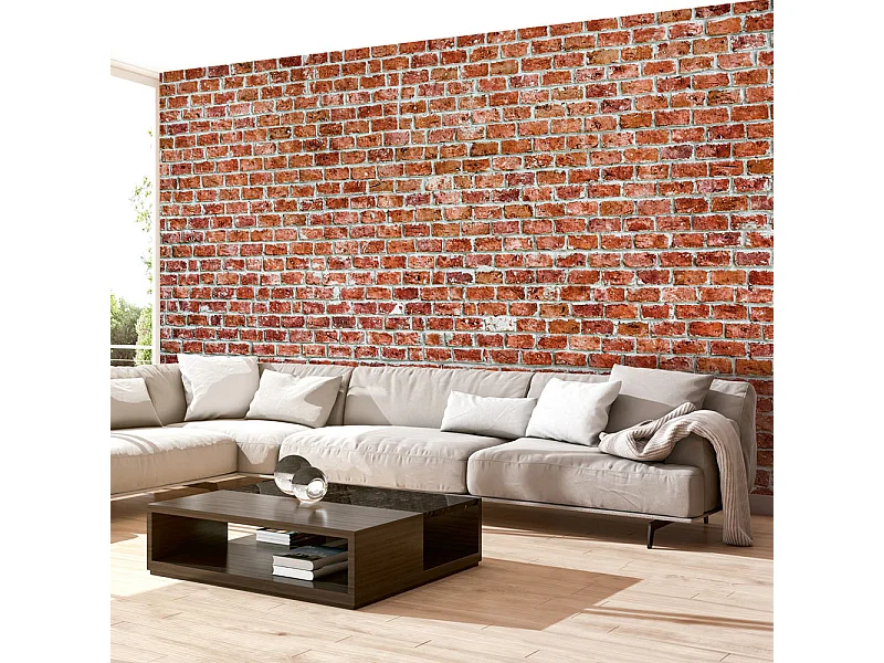 Fotomurale - Red Rock - 200x140