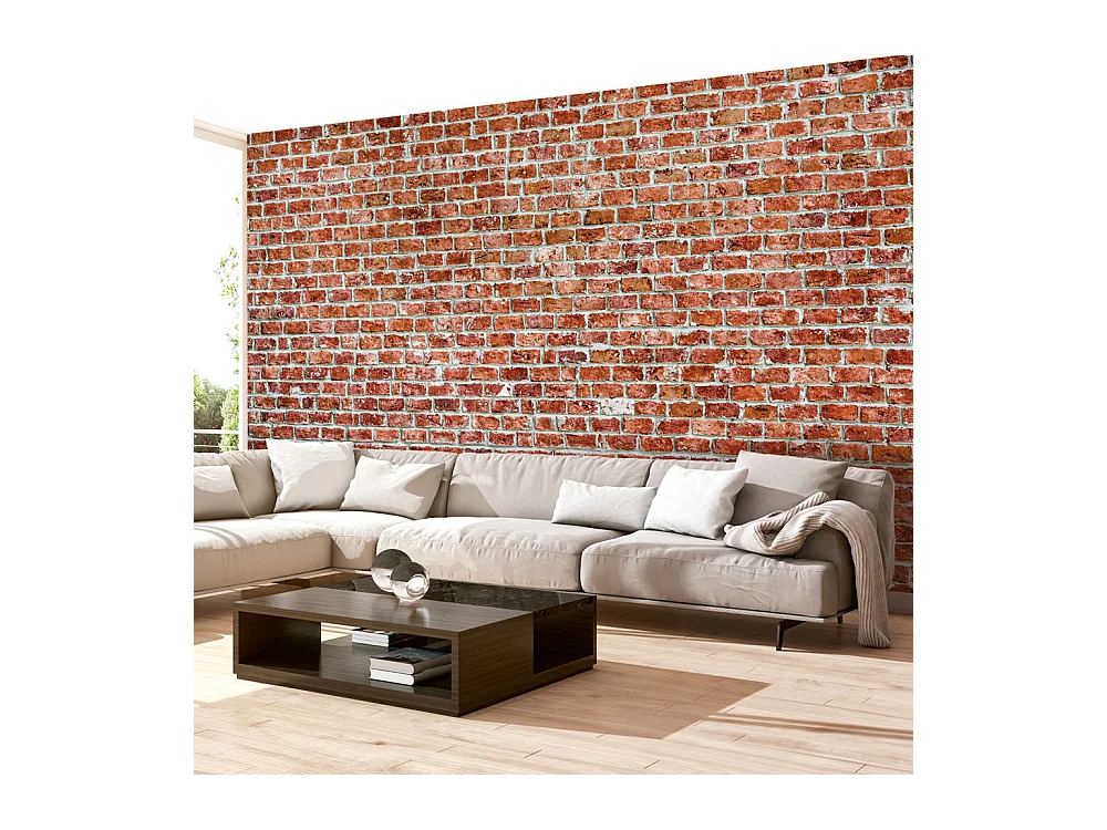 Fotomurale - Red Rock - 200x140