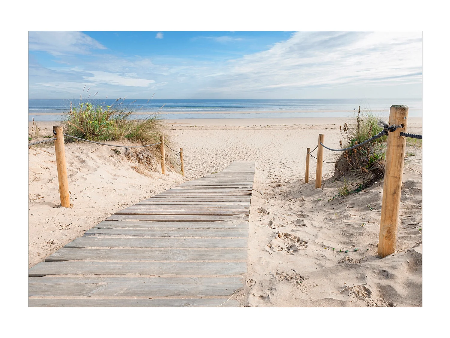 Fotomurale adesivo - Sulla spiaggia - 245x175