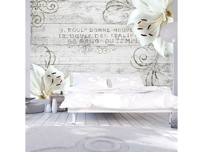 Fotomurale adesivo - Bonne Nouvelle - 245x175