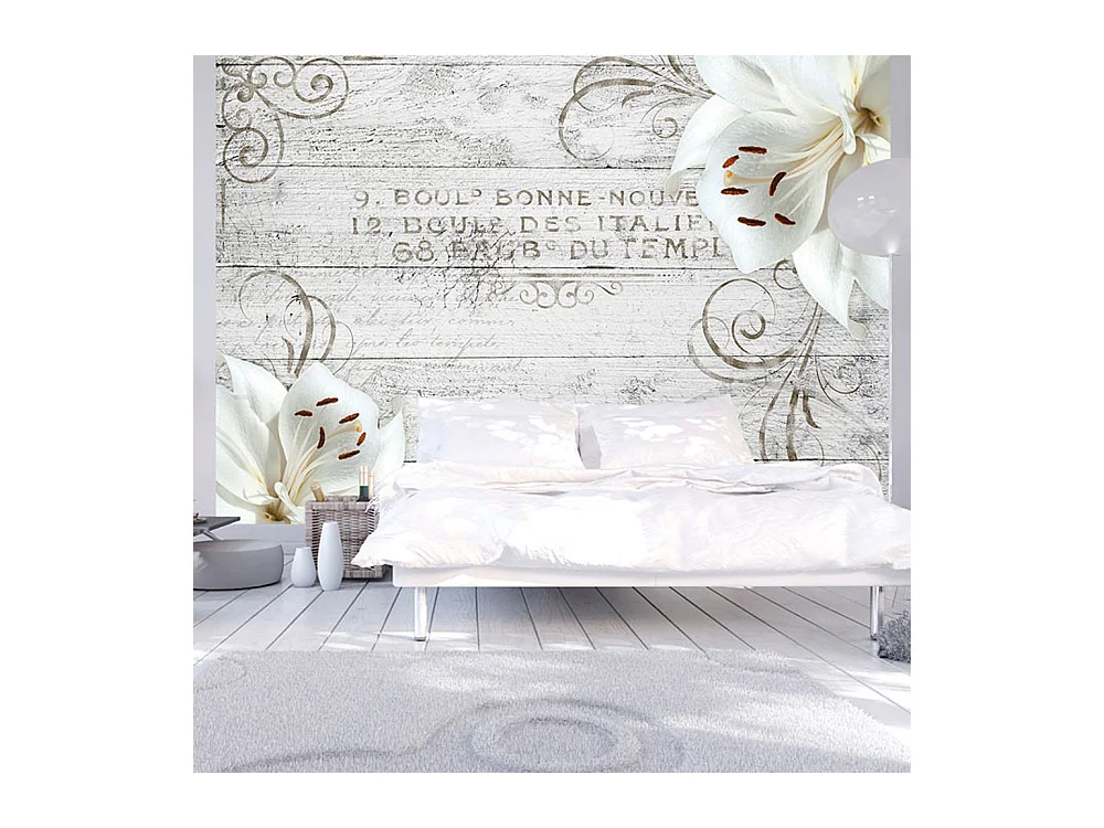 Fotomurale adesivo - Bonne Nouvelle - 245x175
