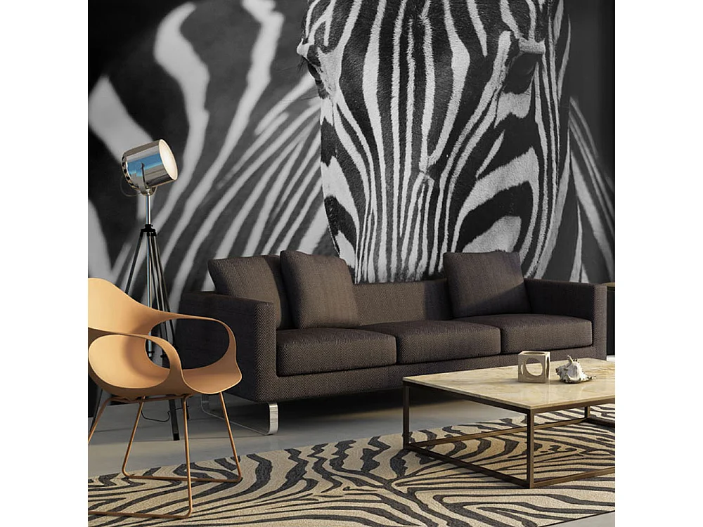 Fotomurale - Bianca con strisce nere - 250x193