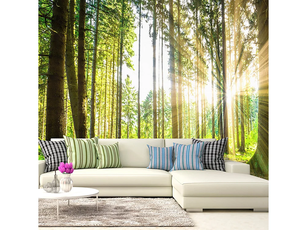 Fotomurale adesivo - Forest Tales - 147x105