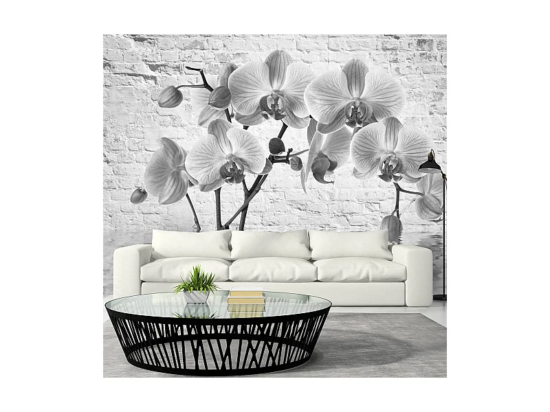 Fotomurale - Orchid in Shades of Gray - 150x105