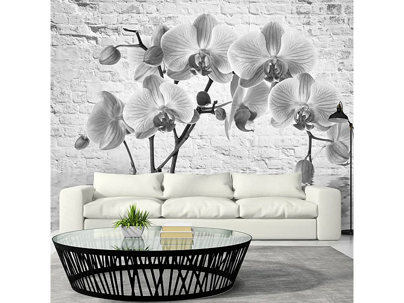 Fotomurale - Orchid in Shades of Gray - 150x105