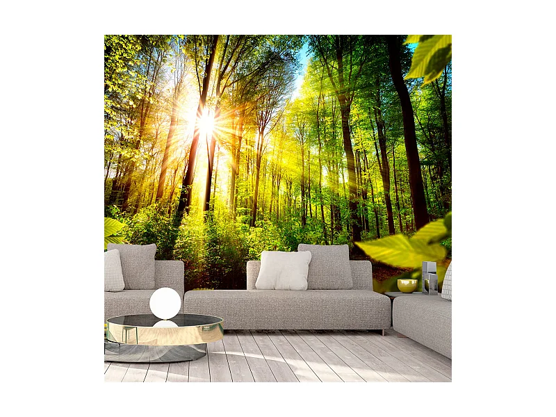 Fotomurale adesivo - Forest Hideout - 147x105