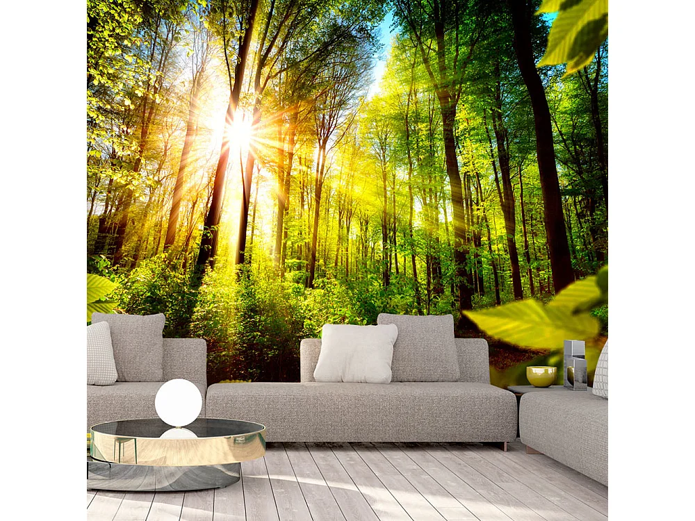 Fotomurale adesivo - Forest Hideout - 147x105