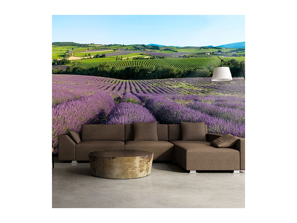 Fotomurale - Campi di lavanda - 400x309