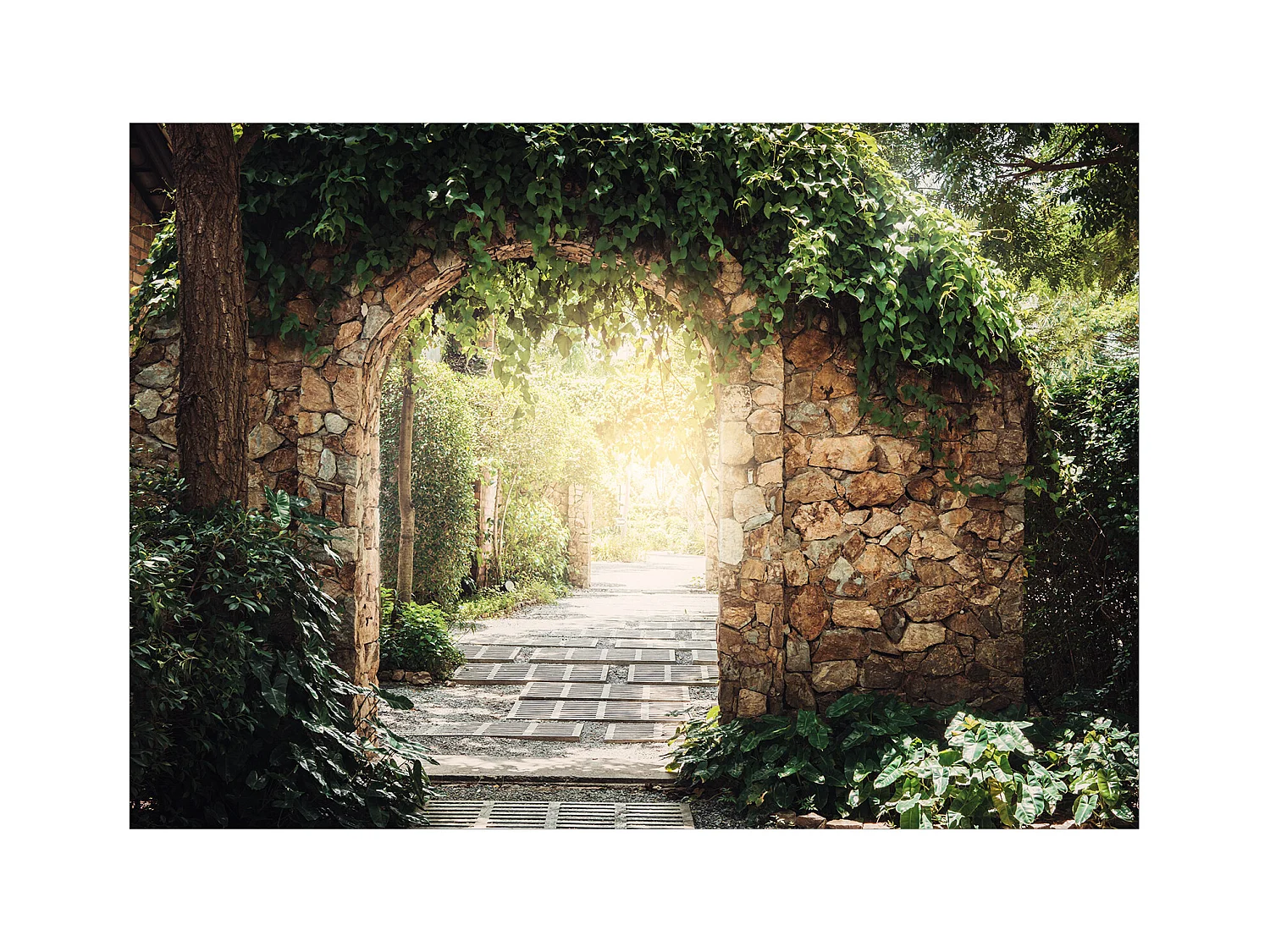 Fotomurale adesivo - Sunny Alley - 245x175