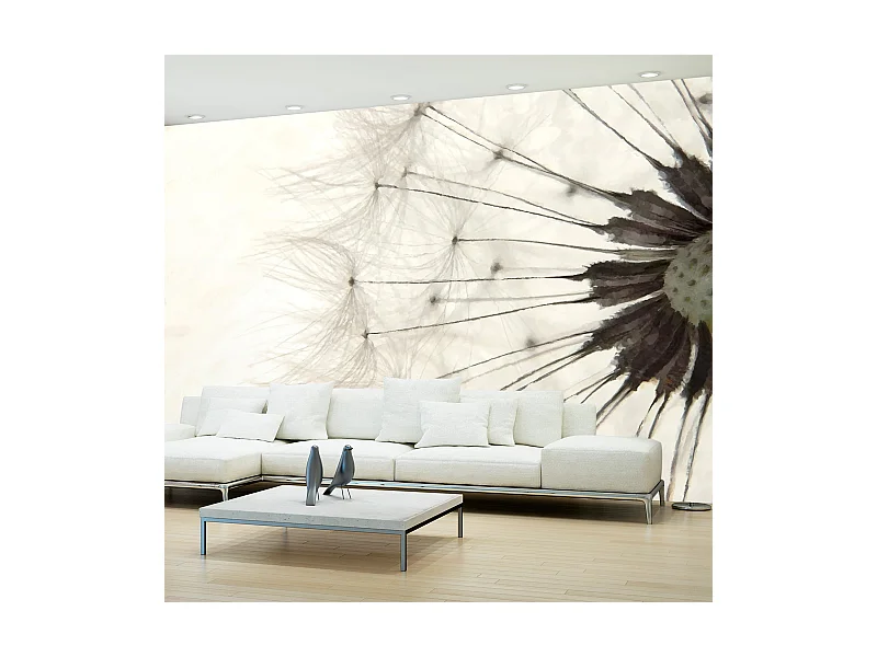 Fotomurale - White Dandelion - 350x245