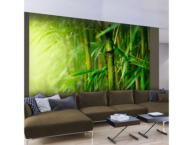 Fotomurale - giungla - bambù - 250x193