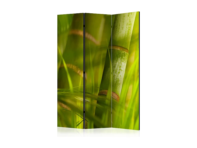 Paravento - bamboo - nature zen [Room Dividers] - 135x172