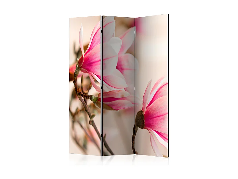 Paravento - Branch of magnolia tree [Room Dividers] - 135x172