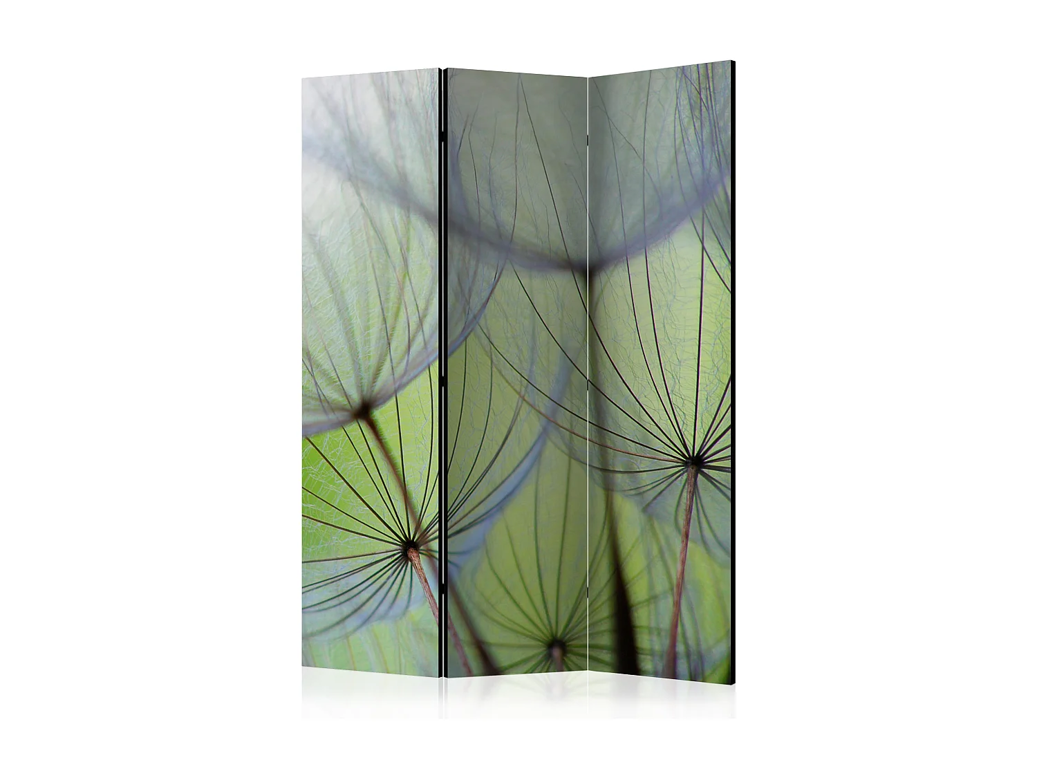 Paravento - Fleeting moments [Room Dividers] - 135x172