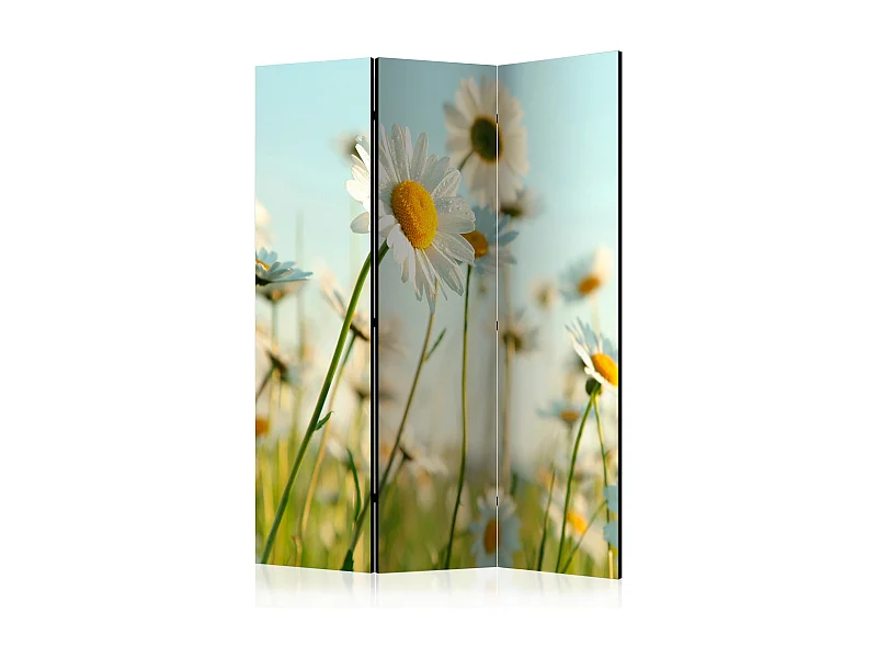 Paravento - Daisies - spring meadow [Room Dividers] - 135x172