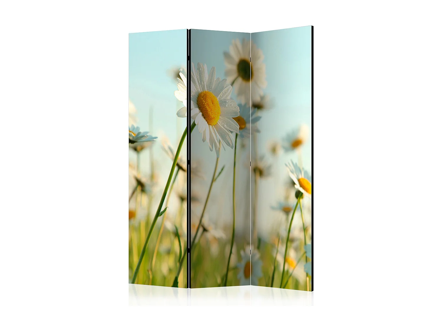 Paravento - Daisies - spring meadow [Room Dividers] - 135x172