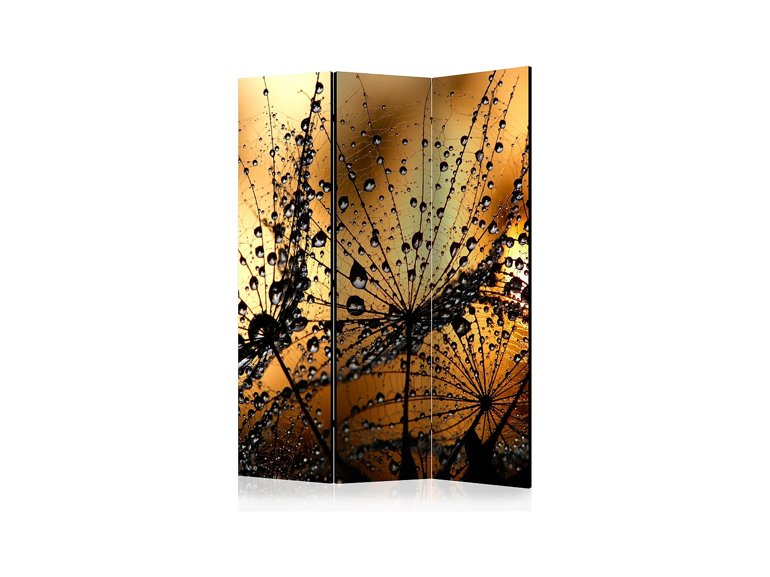 Paravento - Dandelions in the Rain [Room Dividers] - 135x172