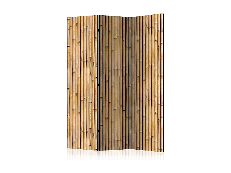 Paravento - Amazonian Wall [Room Dividers] - 135x172