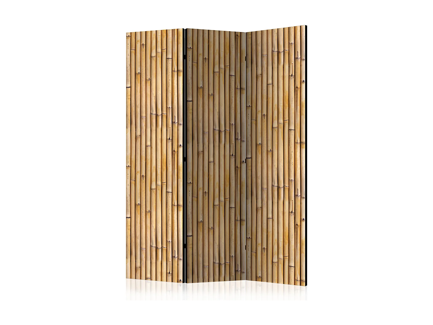 Paravento - Amazonian Wall [Room Dividers] - 135x172