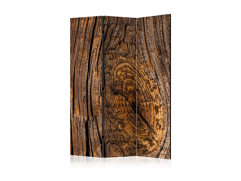 Paravento - Old Tree [Room Dividers] - 135x172